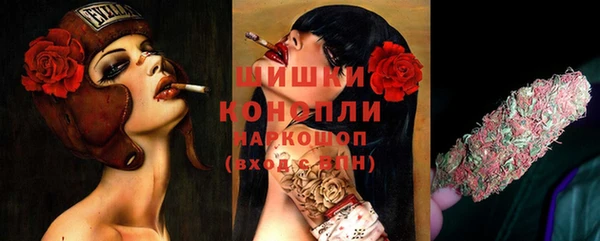 амф Мегион