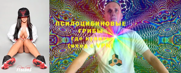 стаф Михайловск