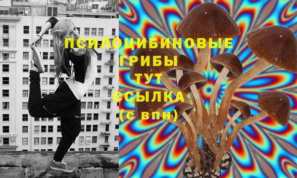стаф Михайловск