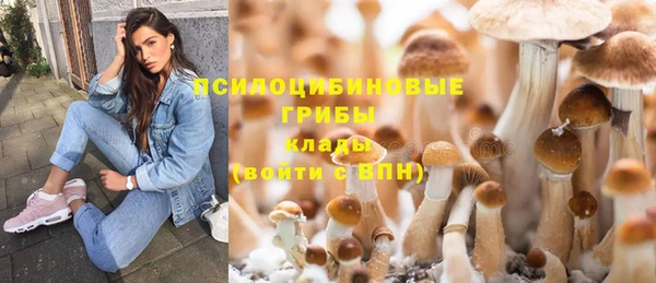 кокс Михайлов